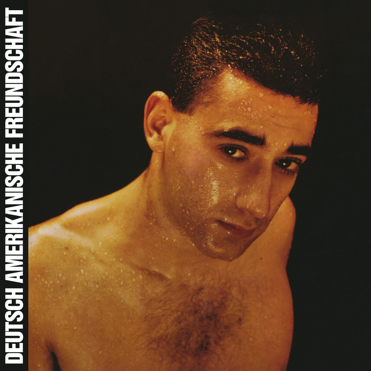 Deutsch Amerikanische Freundschaft – Alles Ist Gut Vinyl, LP, Album, Reissue