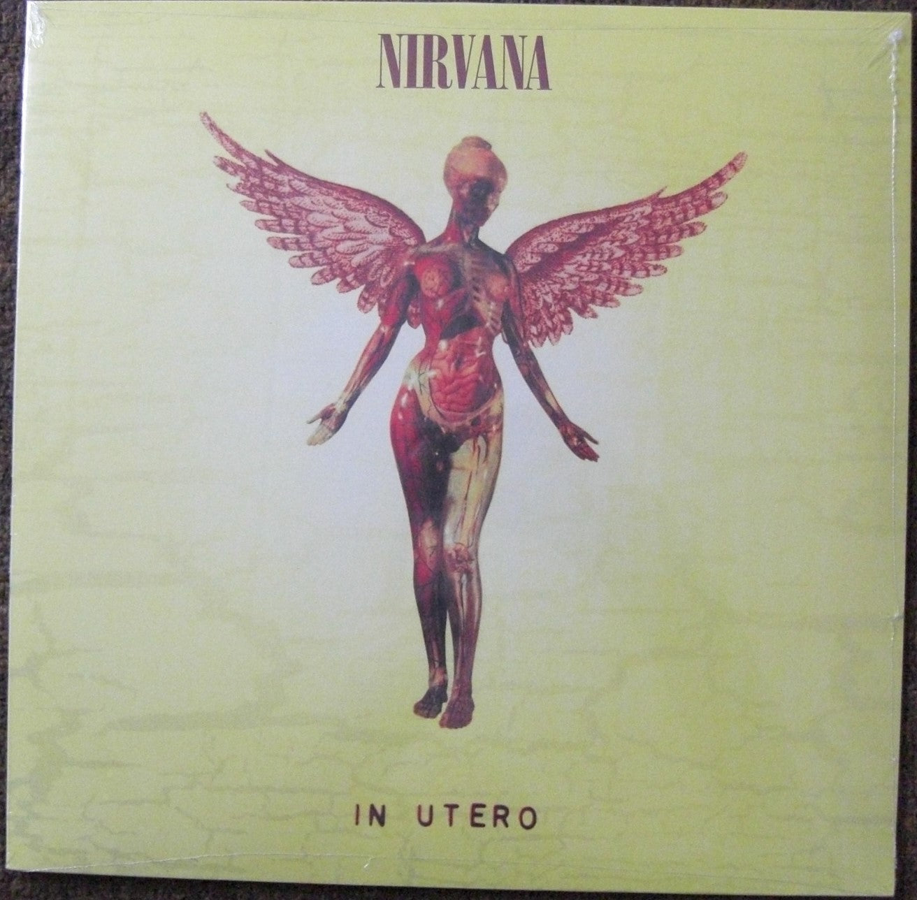 Nirvana – In Utero Vinyl, LP, Album