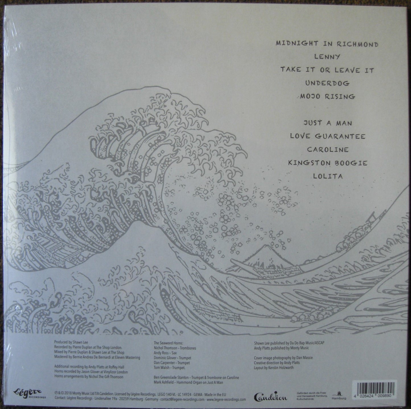 Young Gun Silver Fox – AM Waves Vinyl, LP, Album