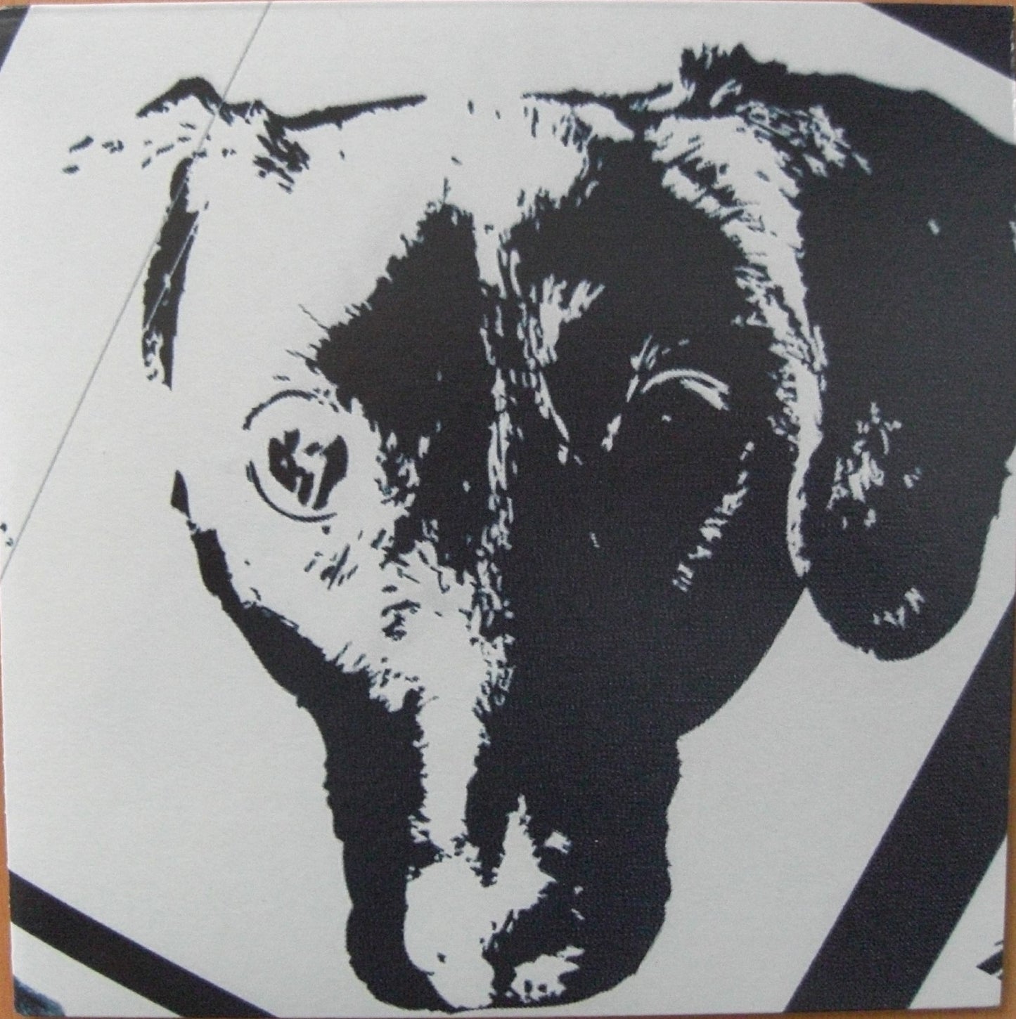 Michael Leonhart Orchestra – Denial / Anger Vinyl, 7"