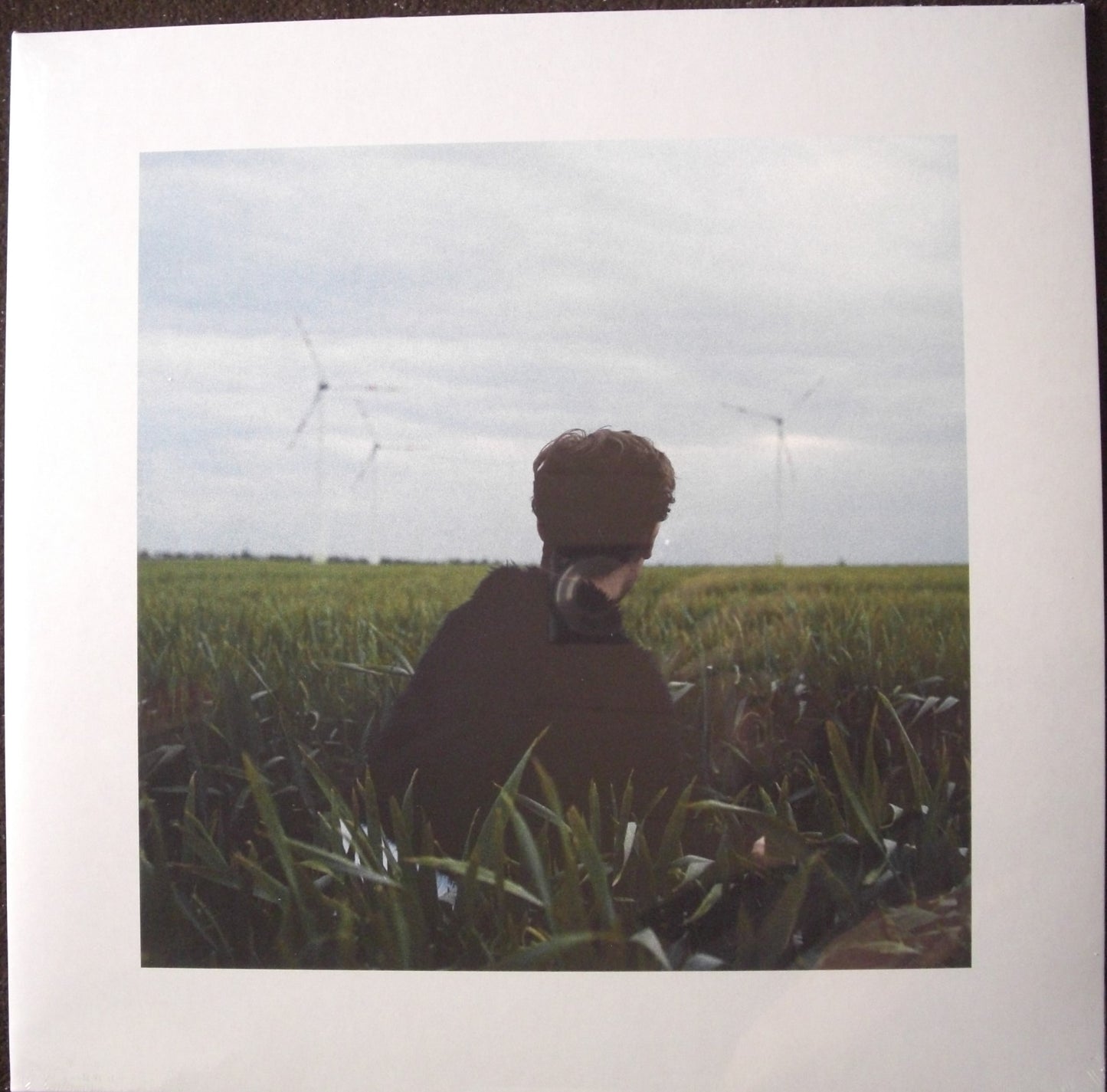 Hotel Rimini - Gefährdete Arten Vinyl, LP, Album