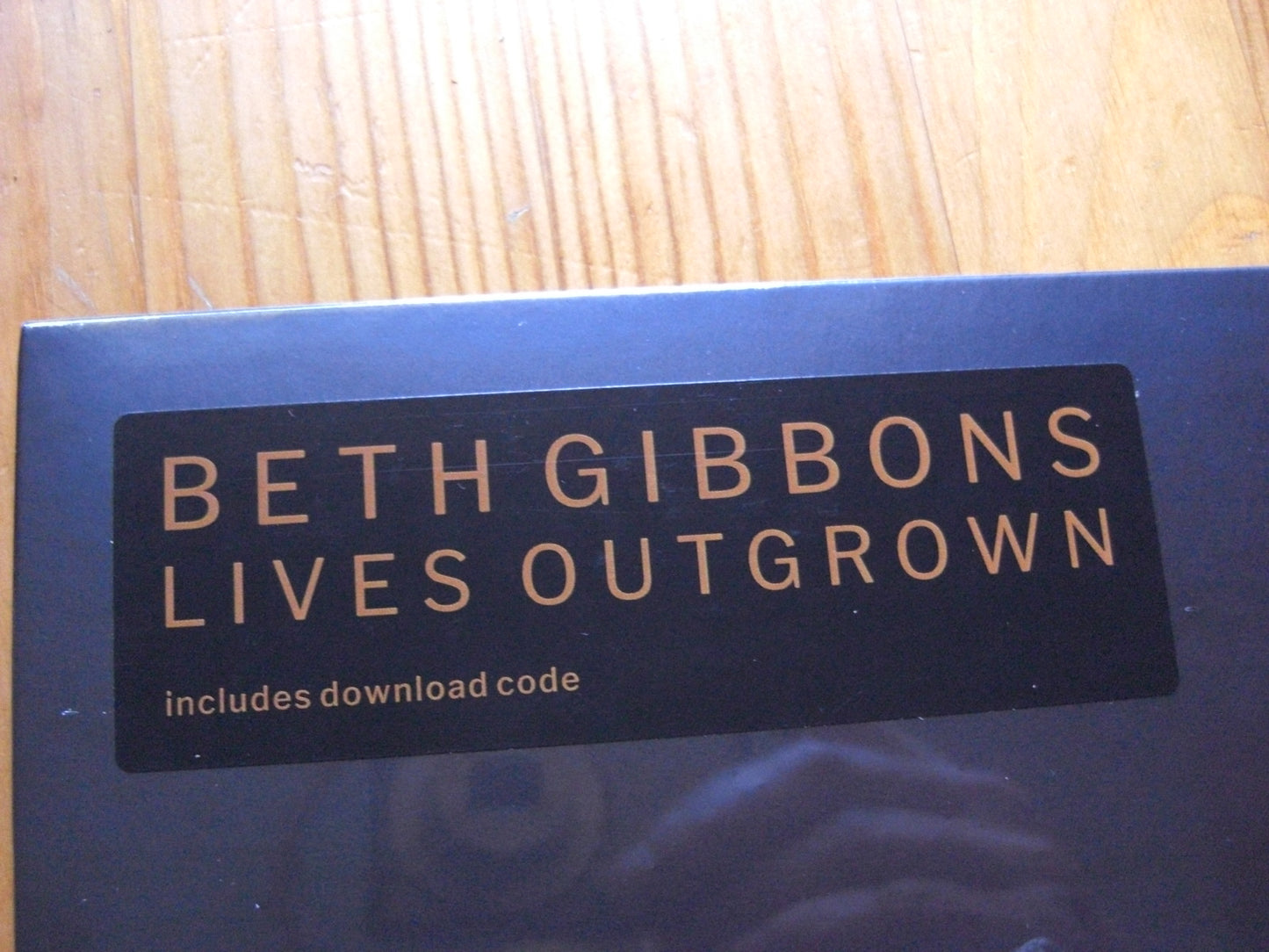 Beth Gibbons - Lives Outgrown Vinyl, LP, Album