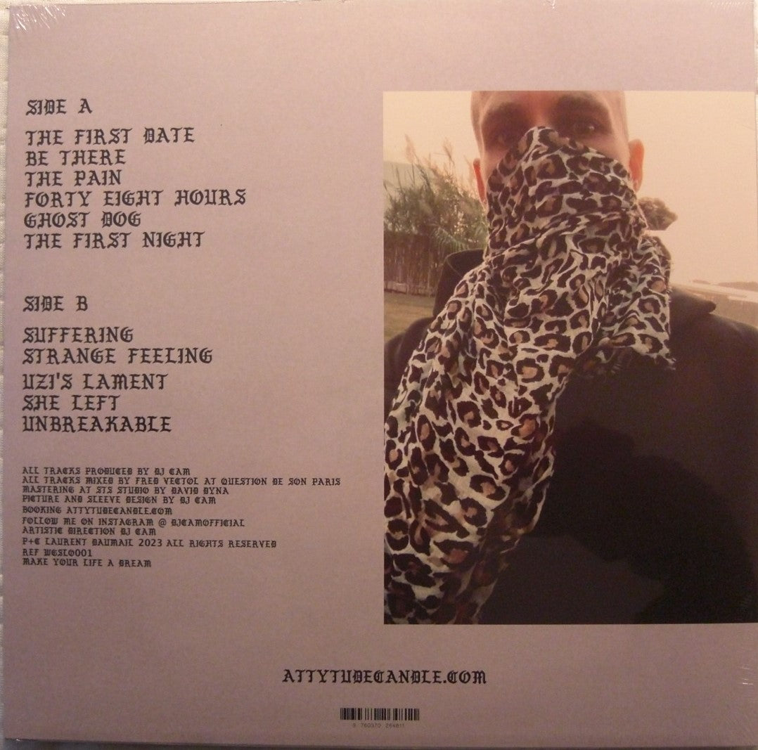 DJ Cam – Westside Gun Soul Vinyl, LP, Album pink