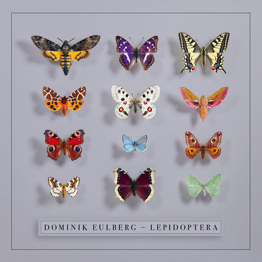 Dominik Eulberg - Lepidoptera 2x Vinyl, LP, Album