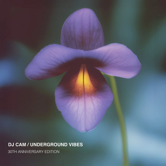 DJ Cam – Underground Vibes Vinyl, LP, Album, Reissue, Limited, Numbered