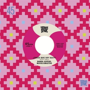 Banda Juvenil Mayas Amautas / Llos Bravos Del Ande - Crees Que Soy Sexy? / El Travoltoso Vinyl, 7"