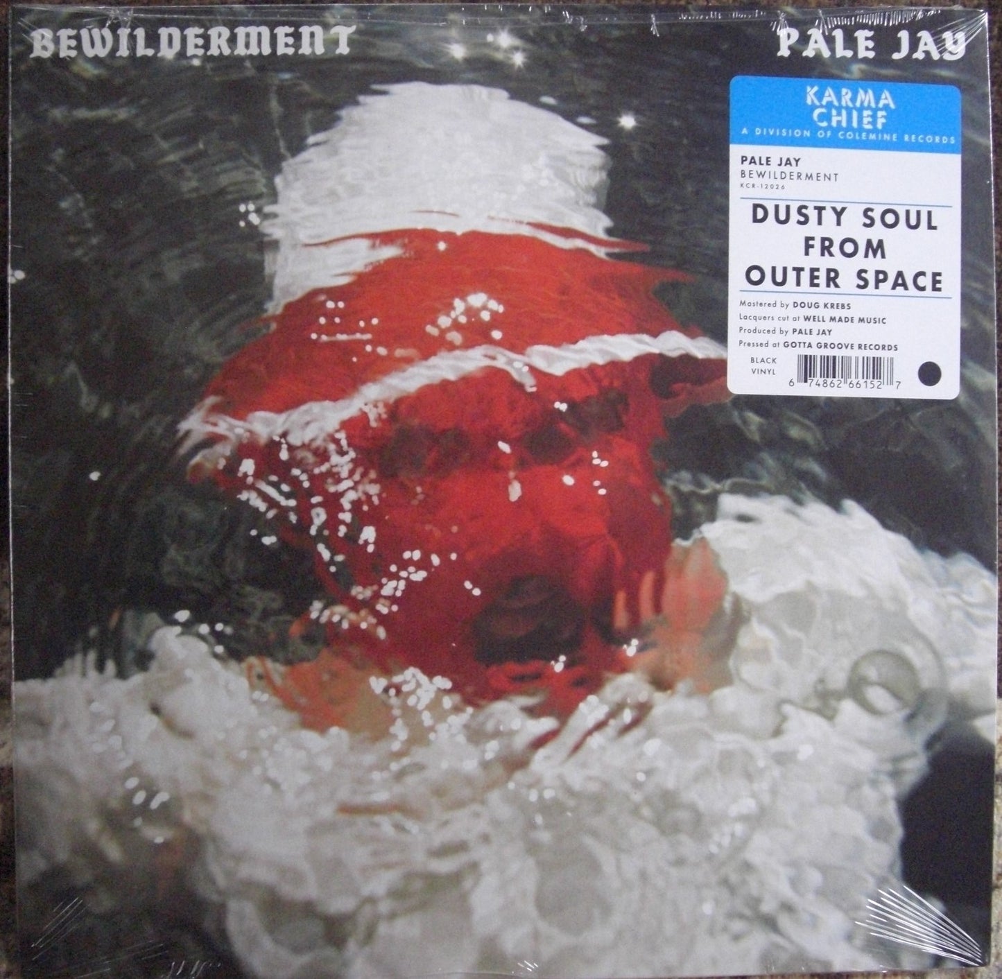 Pale Jay – Bewilderment Vinyl, LP, Album