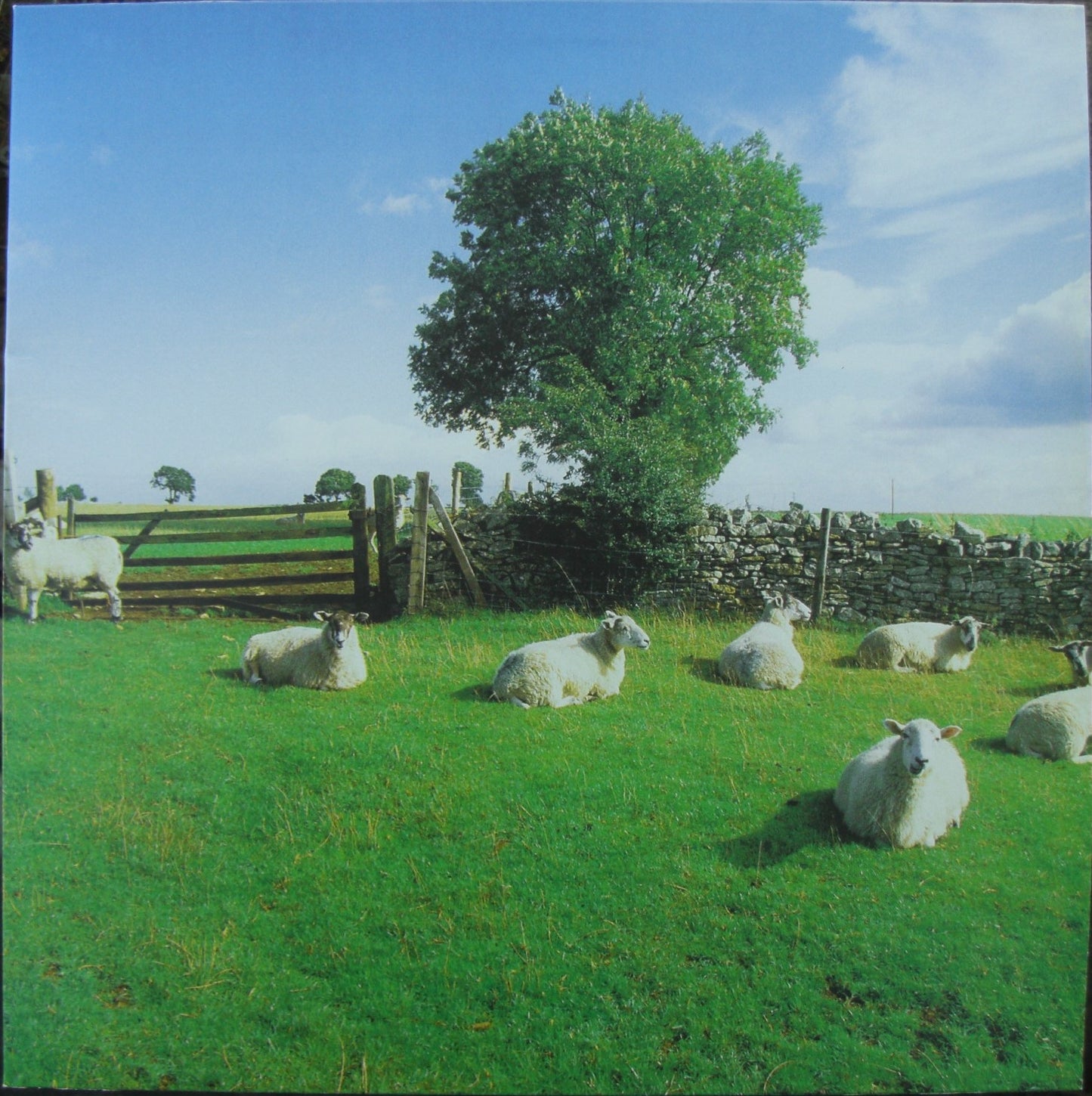 The KLF – Chill Out Vinyl, LP, Album, Reissue