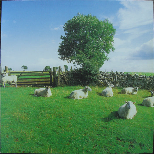 The KLF – Chill Out Vinyl, LP, Album, Reissue