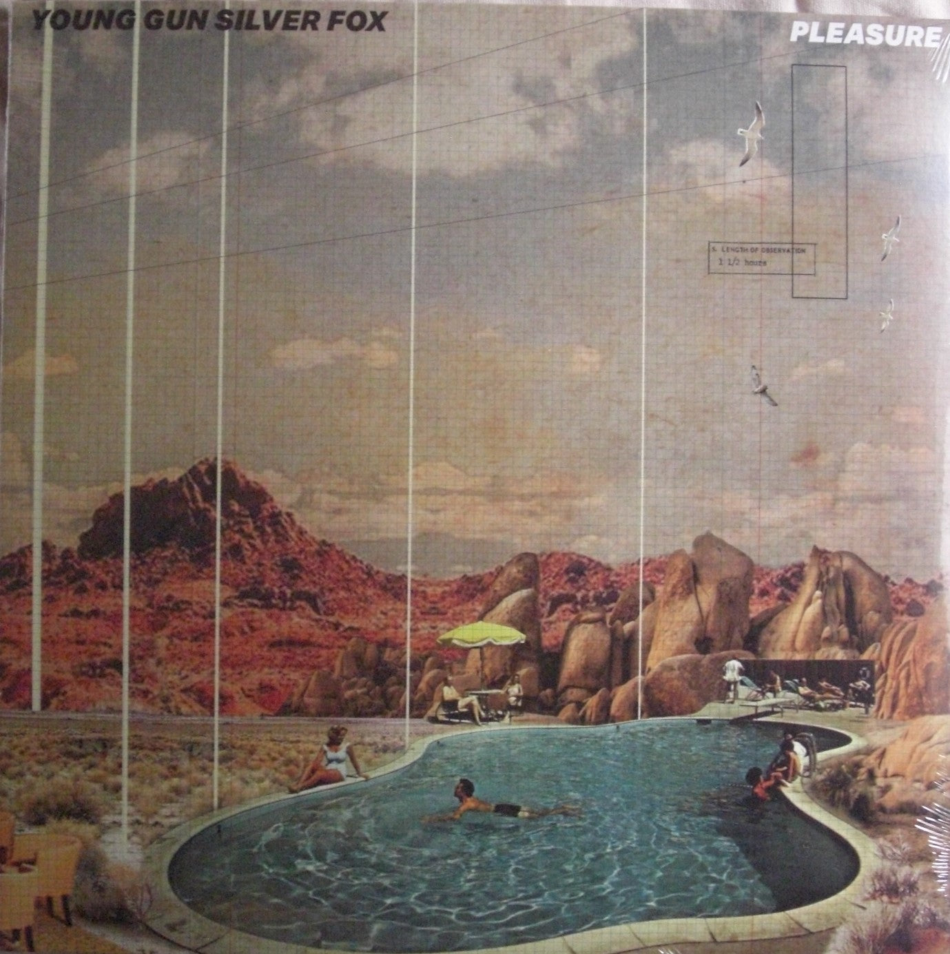 Young Gun Silver Fox – Pleasure Vinyl, LP, Album