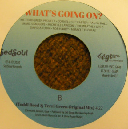 The Terri Green Project – What's Going On? Vinyl, 7", Single, Limited Edt