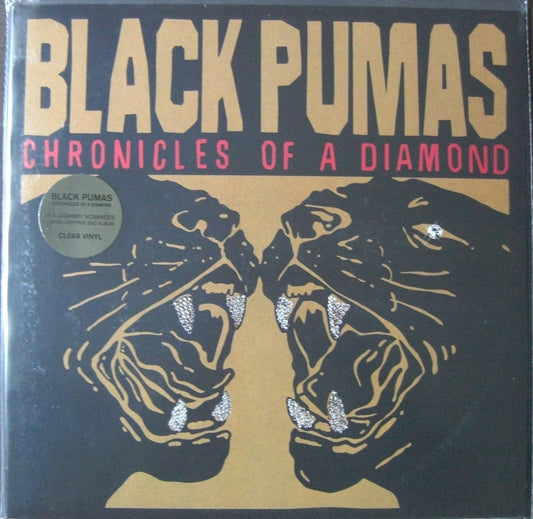 Black Pumas – Chronicles Of A Diamond Vinyl, LP, Album clear