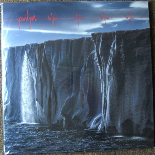 Pearl Jam – Gigaton 2x Vinyl, LP, Album "Is This You?"