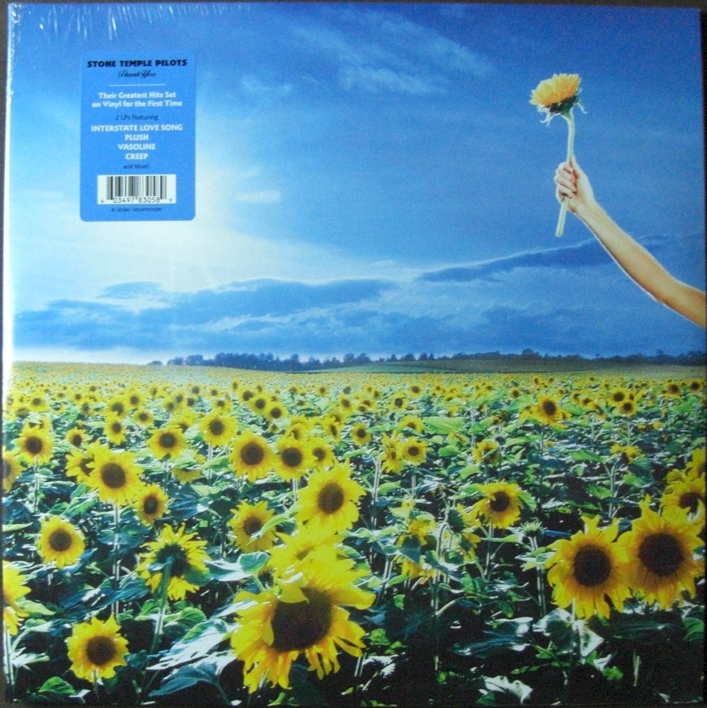 Stone Temple Pilots – Thank You 2x LP Vinyl Compilation