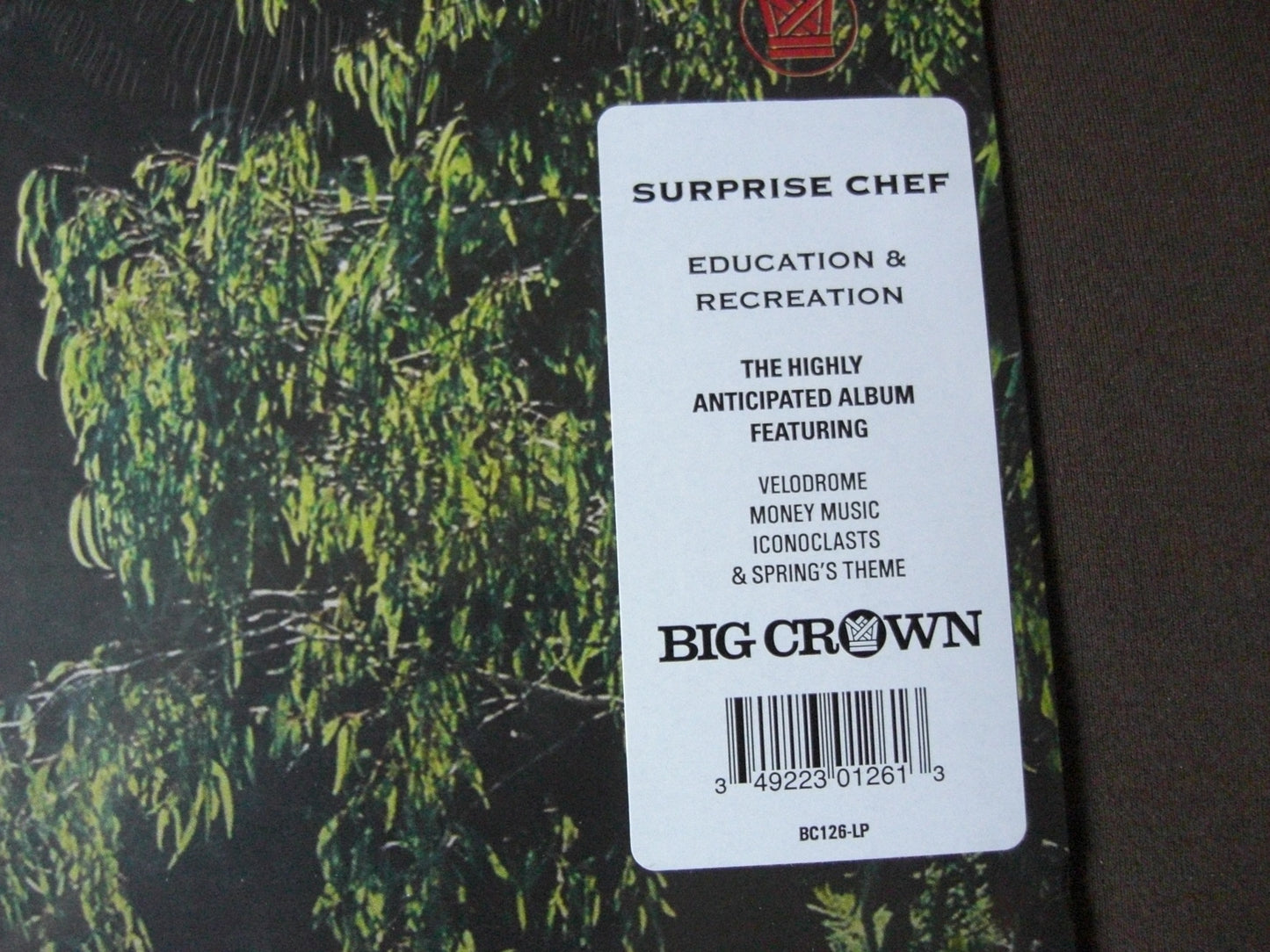 Surprise Chef – Education &amp; Recreation Vinyl, LP, Album