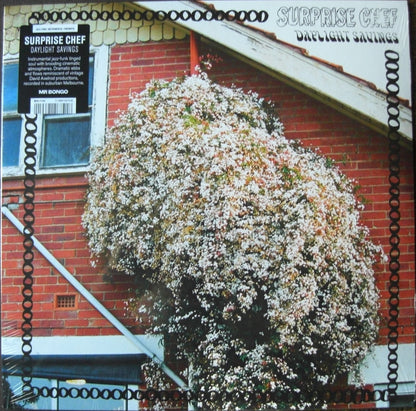 Surprise Chef – Daylight Savings Vinyl, LP, Album