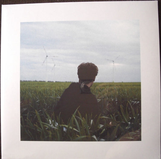 Hotel Rimini - Gefährdete Arten Vinyl, LP, Album