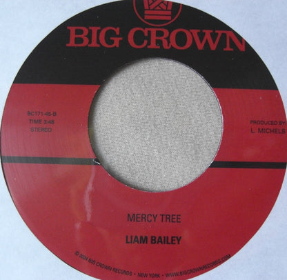 Liam Bailey – Dance With Me / Mercy Tree 7"