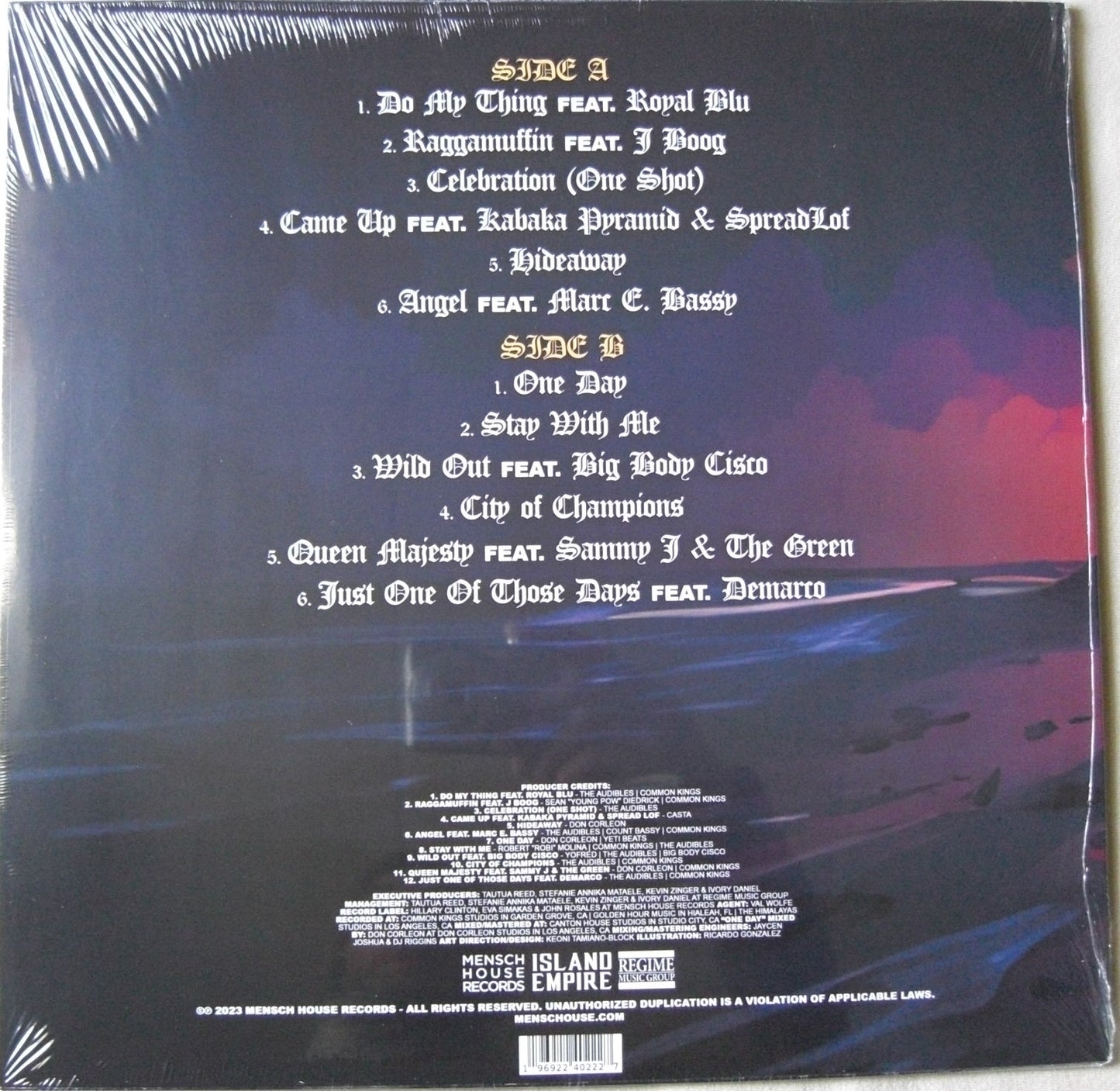 Common Kings – Celebration Vinyl, LP, Album