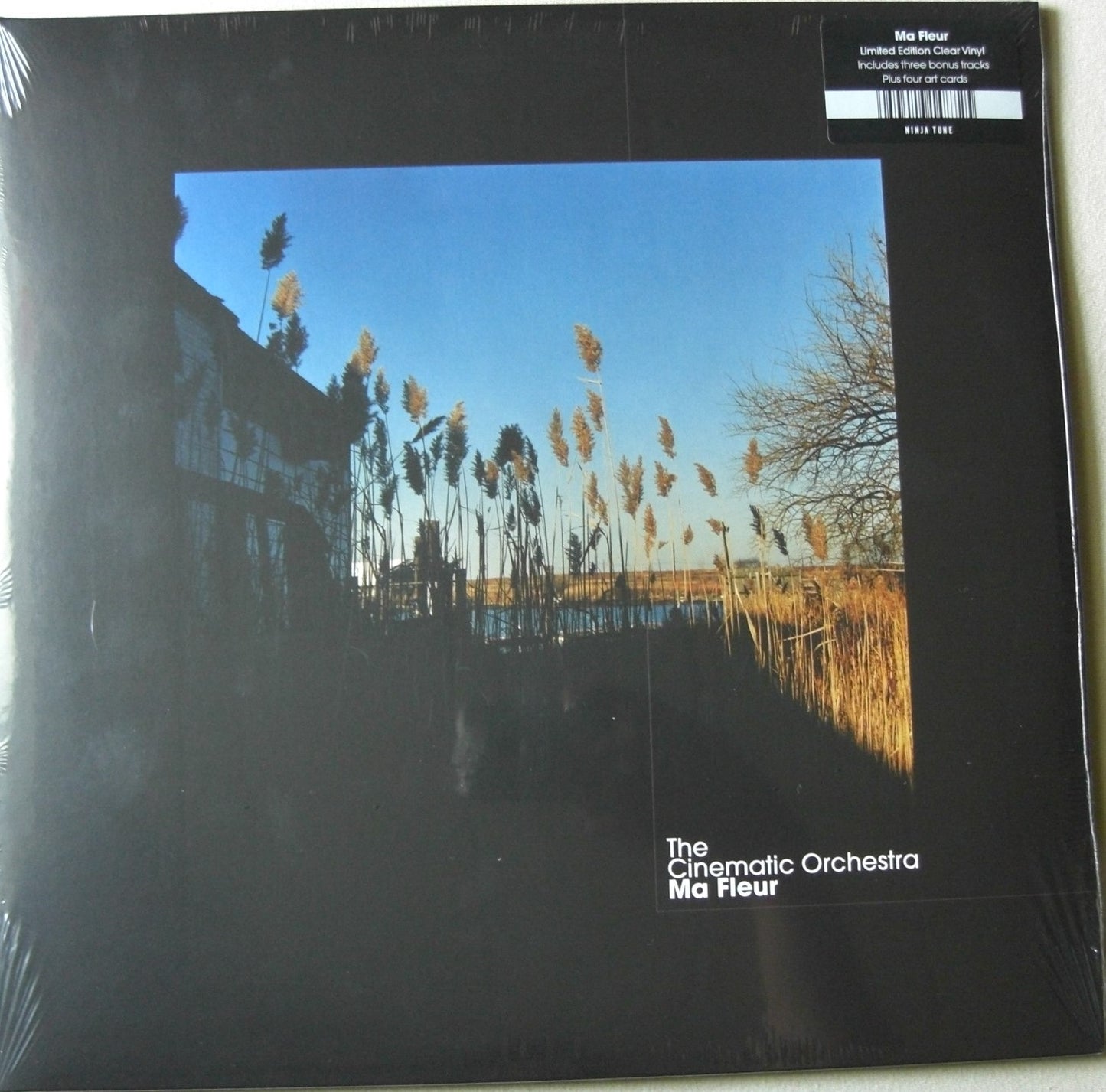 The Cinematic Orchestra – Ma Fleur 2x Vinyl, LP, Album clear