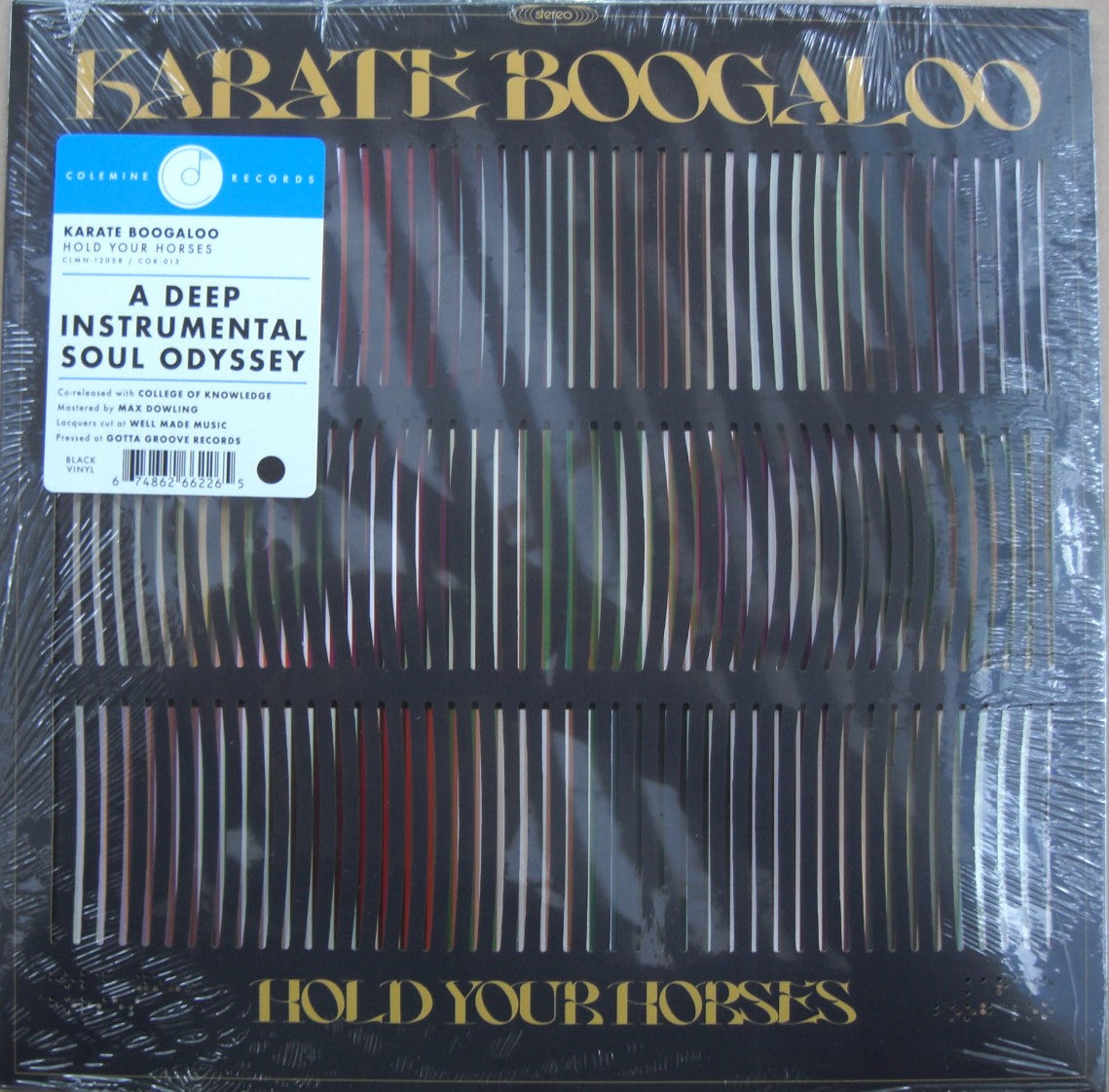 Karate Boogaloo – Hold Your Horses Vinilo, LP, Álbum