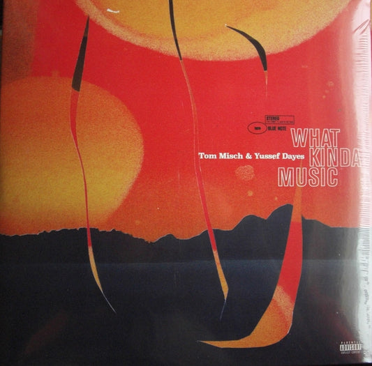 Tom Misch & Yussef Dayes – What Kinda Music 2x Vinyl, LP, Album, Repress