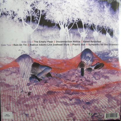 Sonic Youth – Murray Street Vinyl, LP, Album, Reissue