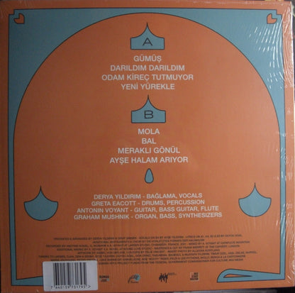 Derya Yildirim, Grup Şimsek – Dost 2 Vinyl, LP, Album