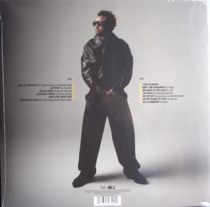 Shaggy - Lottery Vinyl, LP, Album