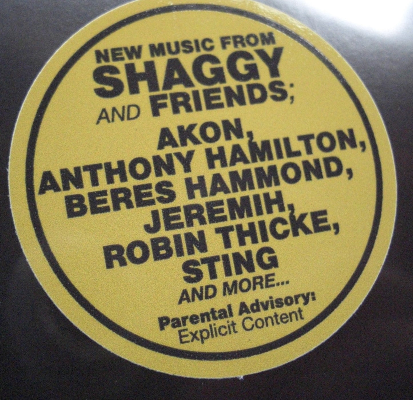 Shaggy - Lottery Vinyl, LP, Album