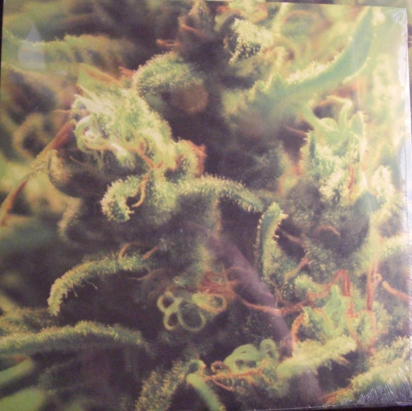 Full Bloom – Time Zones Vinyl, LP, Album