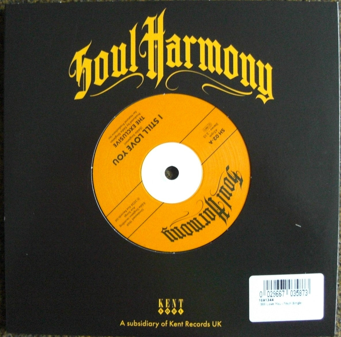 The Exclusives / The DC Blossoms – I Still Love You / This Is Your Last Chance Vinyl, 7"