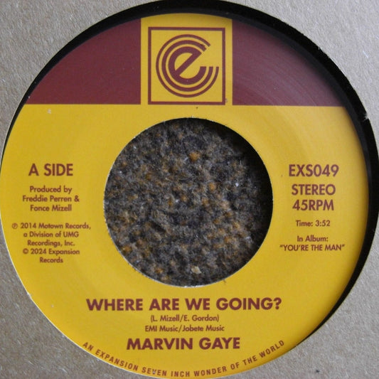 Marvin Gaye – Where Are We Going? / Woman Of The World Vinyl, 7"