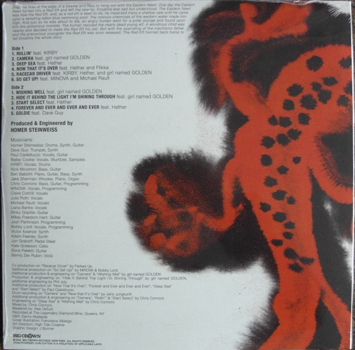Homer Steinweiss - Ensatina Vinyl, LP, Album