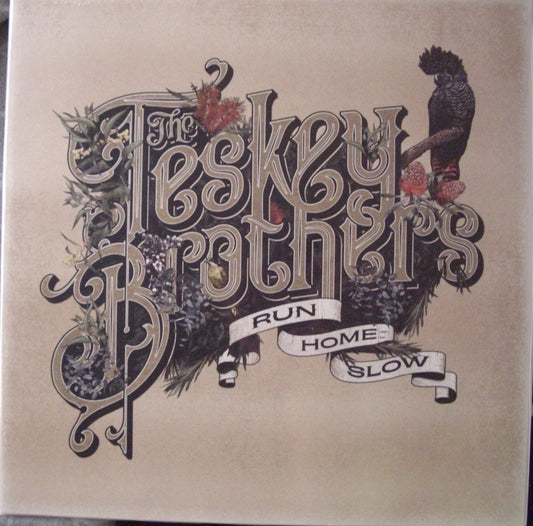 The Teskey Brothers – Run Home Slow Vinyl, LP, Album