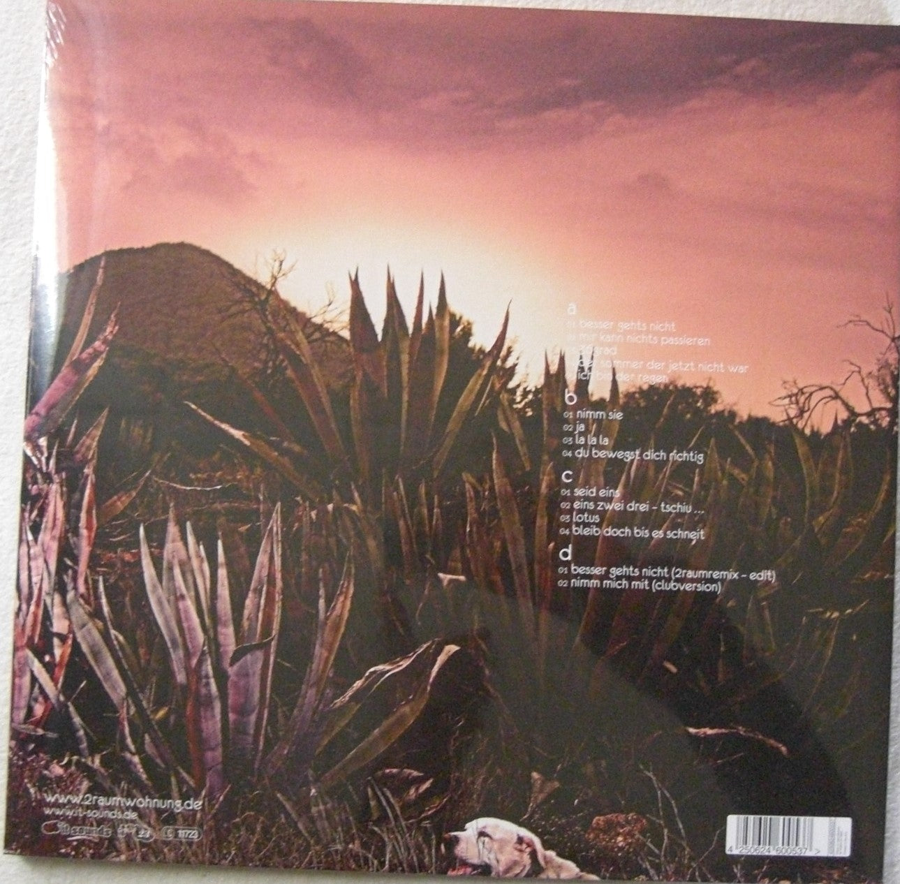 2raumwohnung – 36Grad 2x Vinyl, LP, Album