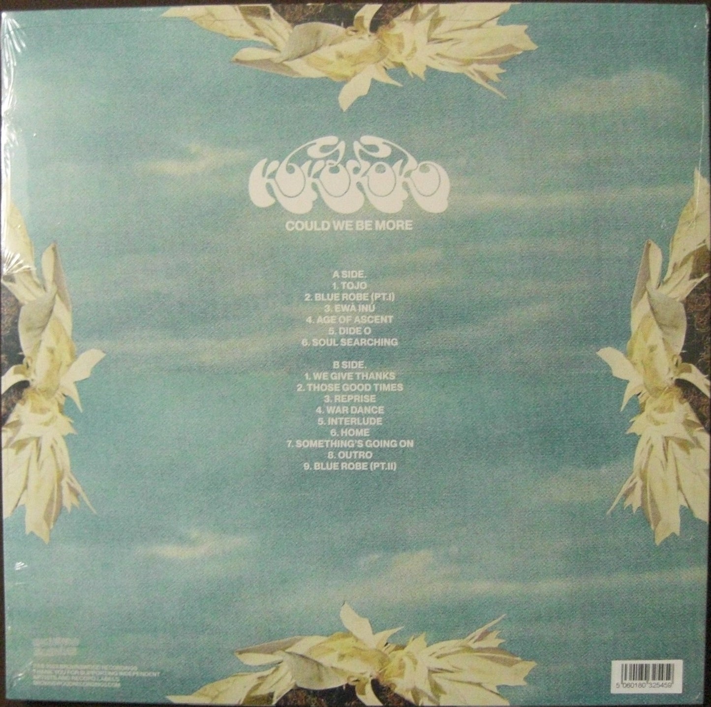 Kokoroko – Could We Be More Vinilo, LP, Álbum azul