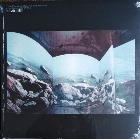 The Future Sound Of London – Environment 6.5 Vinyl, LP, Album