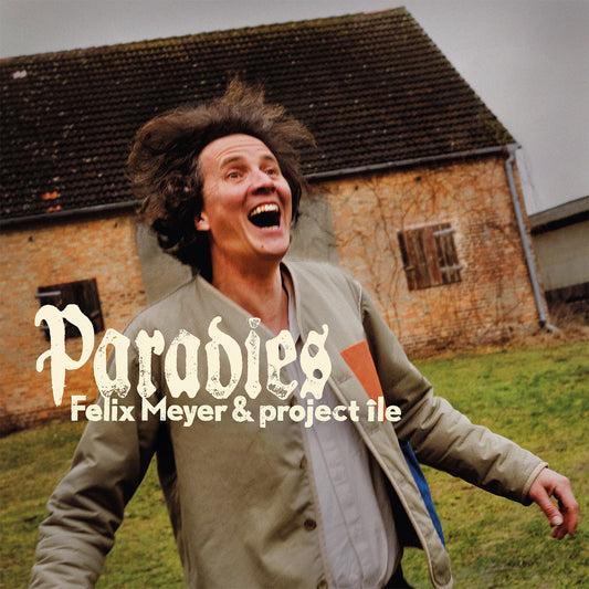 Felix Meyer + Project Ile - Paradies Vinyl, LP, Album