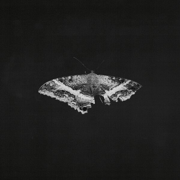 Kendrick Lamar – To Pimp A Butterfly (10th Anniversary) 2x Vinyl, LP, Album, Reissue, Limited Edt graphite
