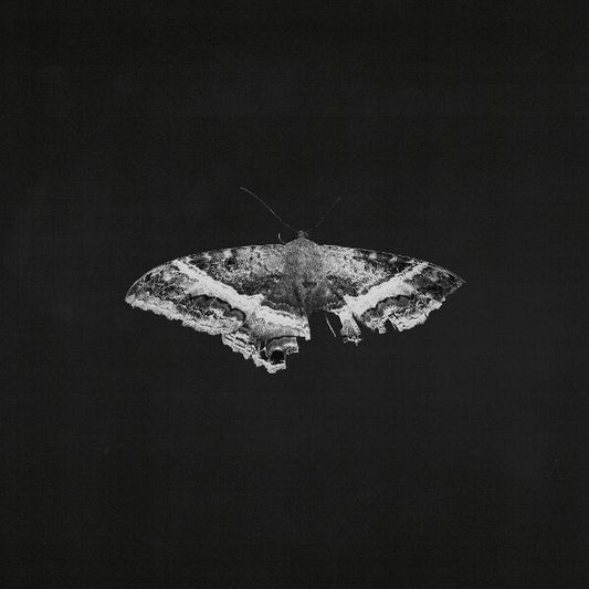 Kendrick Lamar – To Pimp A Butterfly (10th Anniversary) 2x Vinyl, LP, Album, Reissue, Limited Edt graphite