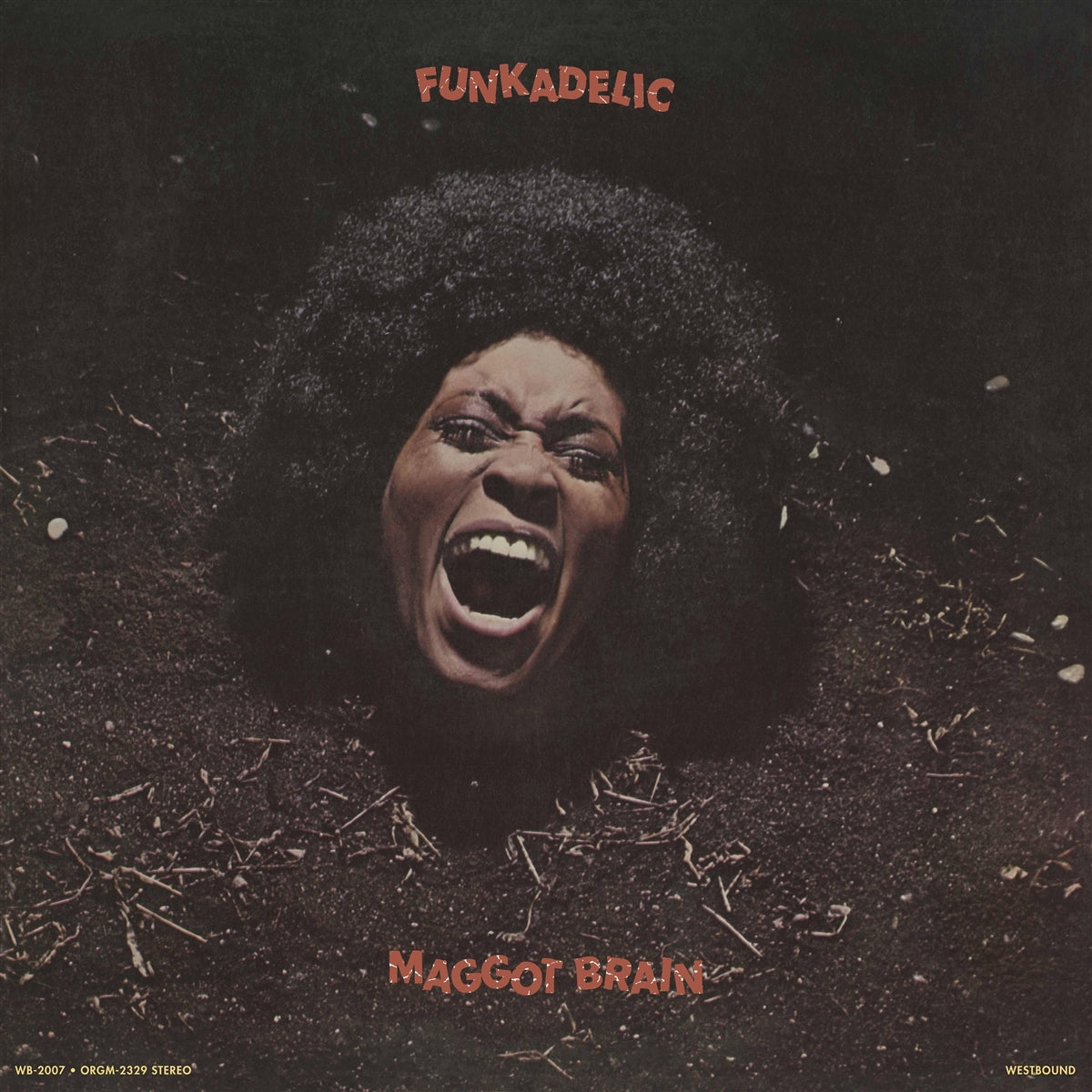 Funkadelic – Maggot Brain Vinyl, LP, Album Reissue 2026 black