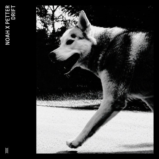 Noah Fürbringer X Petter Eldh - Drift Vinyl, LP, Album